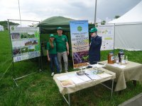 den polya_2022_2